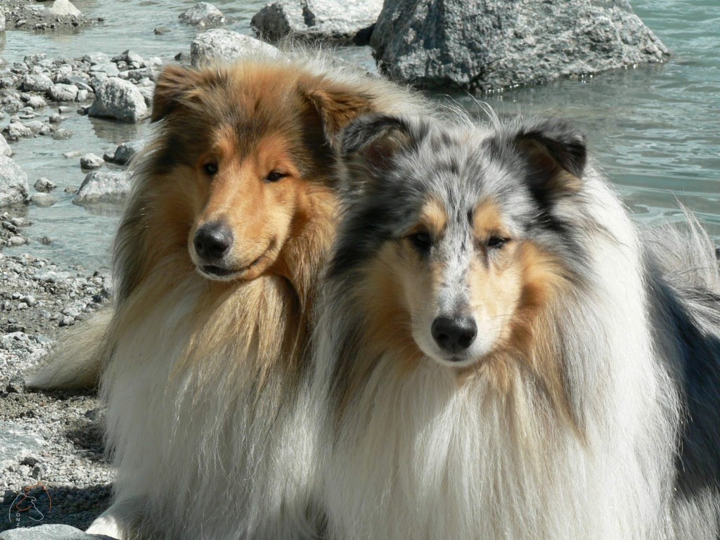 Diamond en Flame bij Briksdalbre
