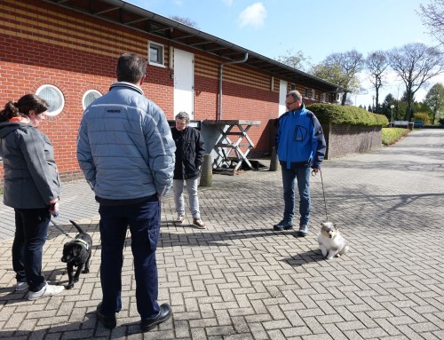 Voor het eerst naar puppycursus